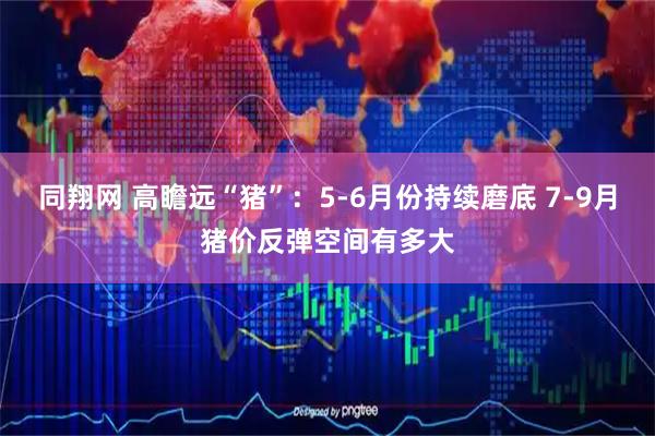 同翔网 高瞻远“猪”：5-6月份持续磨底 7-9月猪价反弹空间有多大